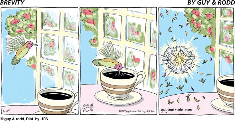 brevity